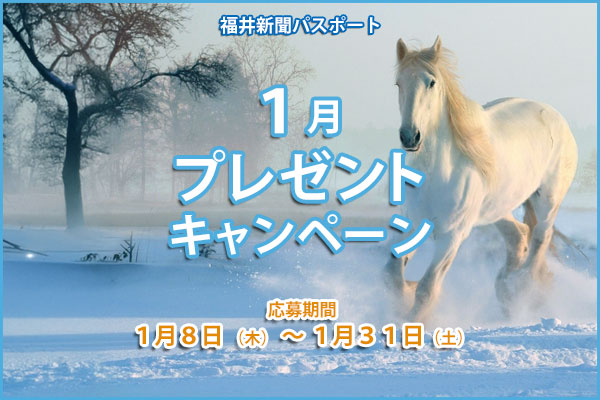 プレゼントキャンペーン開催中 